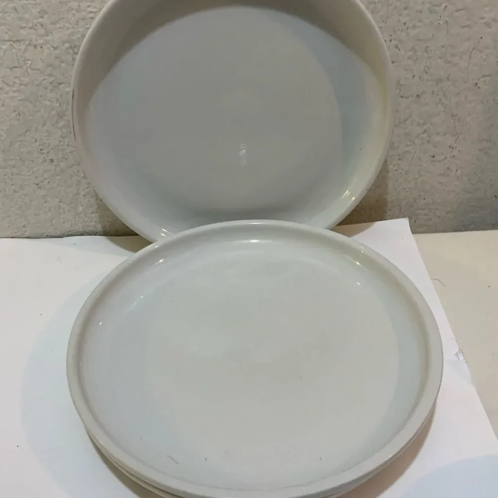 Crate & Barrel Culinary Arts Set of 3 White Porcelain Deep Rim Dinner Plates
